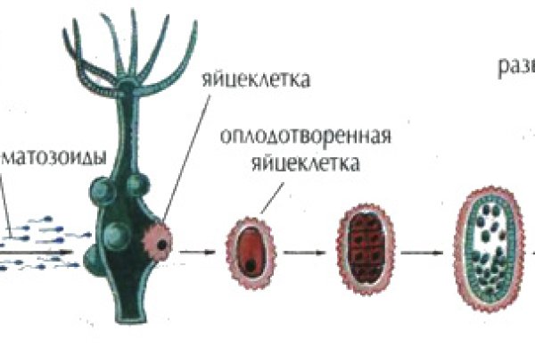 Kraken market зеркала